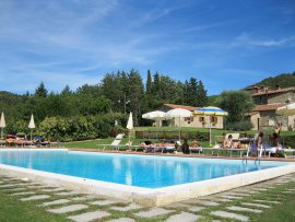 agriturismo arezzo - 2010 esterno fiori e piscina 38 2