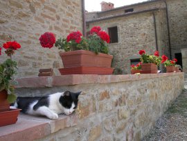 agriturismo arezzo - agriturismo toscana esterno1