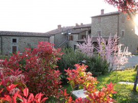 agriturismo arezzo - agriturismo toscana esterno2