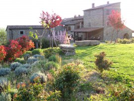agriturismo arezzo - agriturismo toscana esterno3