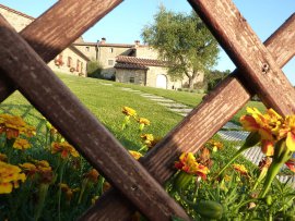 agriturismo arezzo - agriturismo toscana esterno6