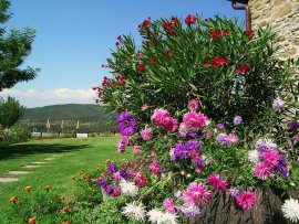 agriturismo arezzo - agriturismo toscana primavera