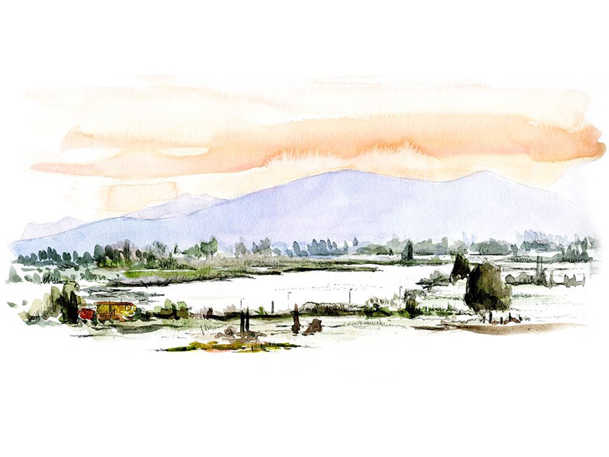 agriturismo toscana - Offerte - Corsi di Pittura
